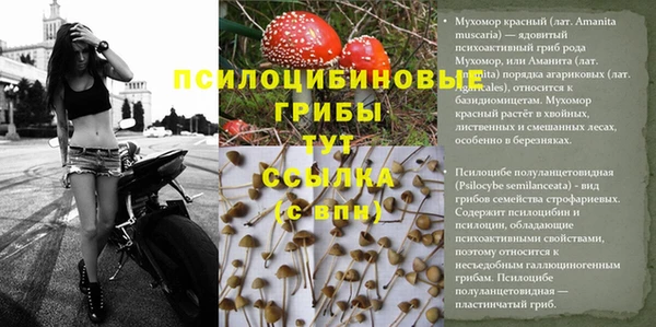 скорость Струнино