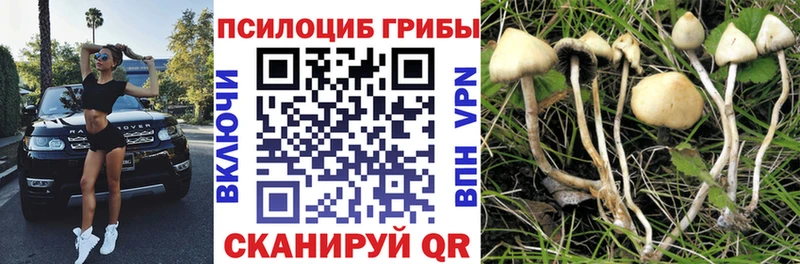 Псилоцибиновые грибы мухоморы  Красноярск 