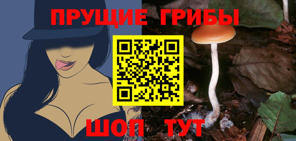 Галлюциногенные грибы прущие грибы Красноярск